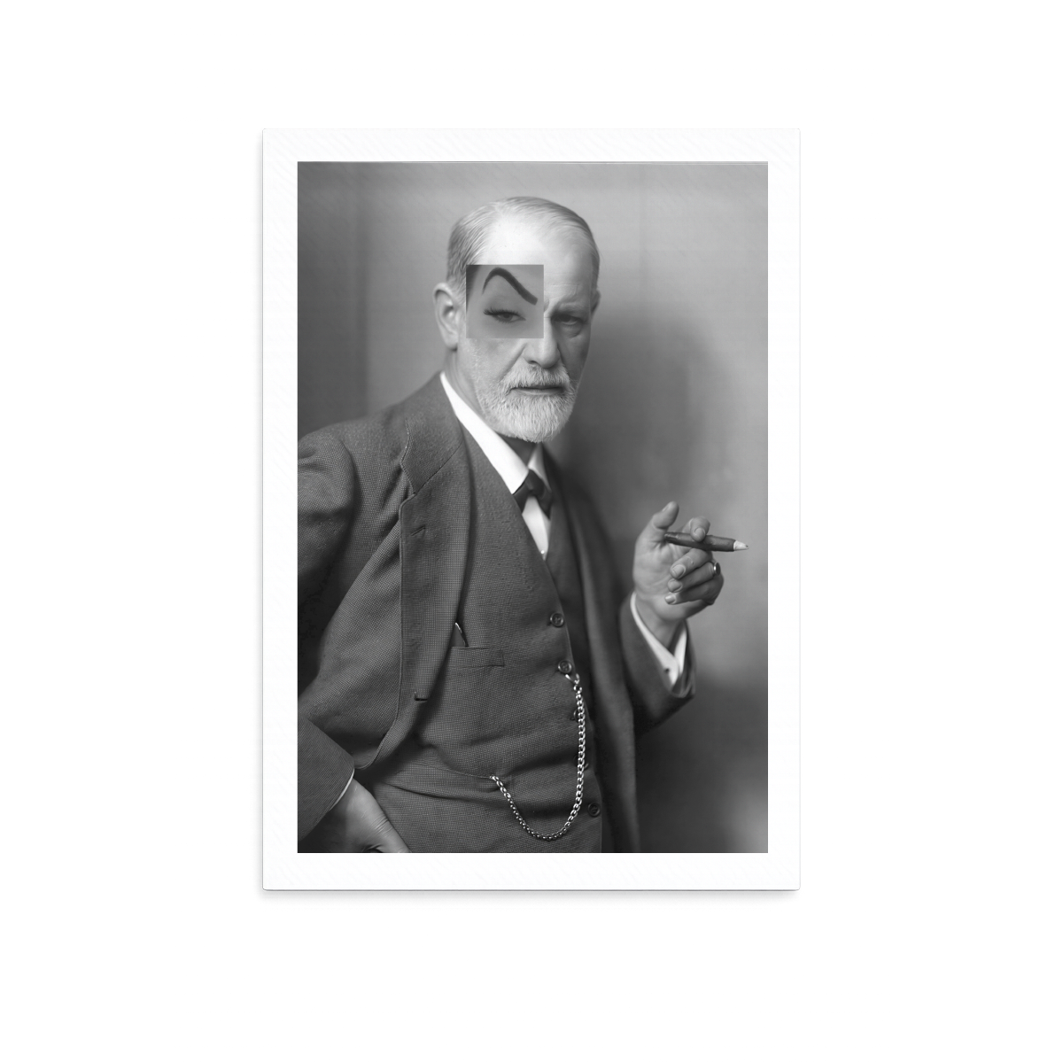 Pôsteres "bicha, se eu analisar"